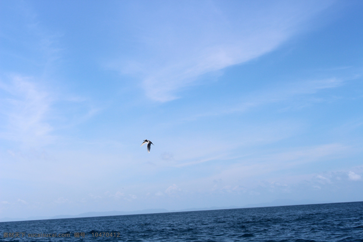 天高云淡 蓝天 白云 自然风景 风景素材 白云素材 天空 大海 海鸥 自然景观
