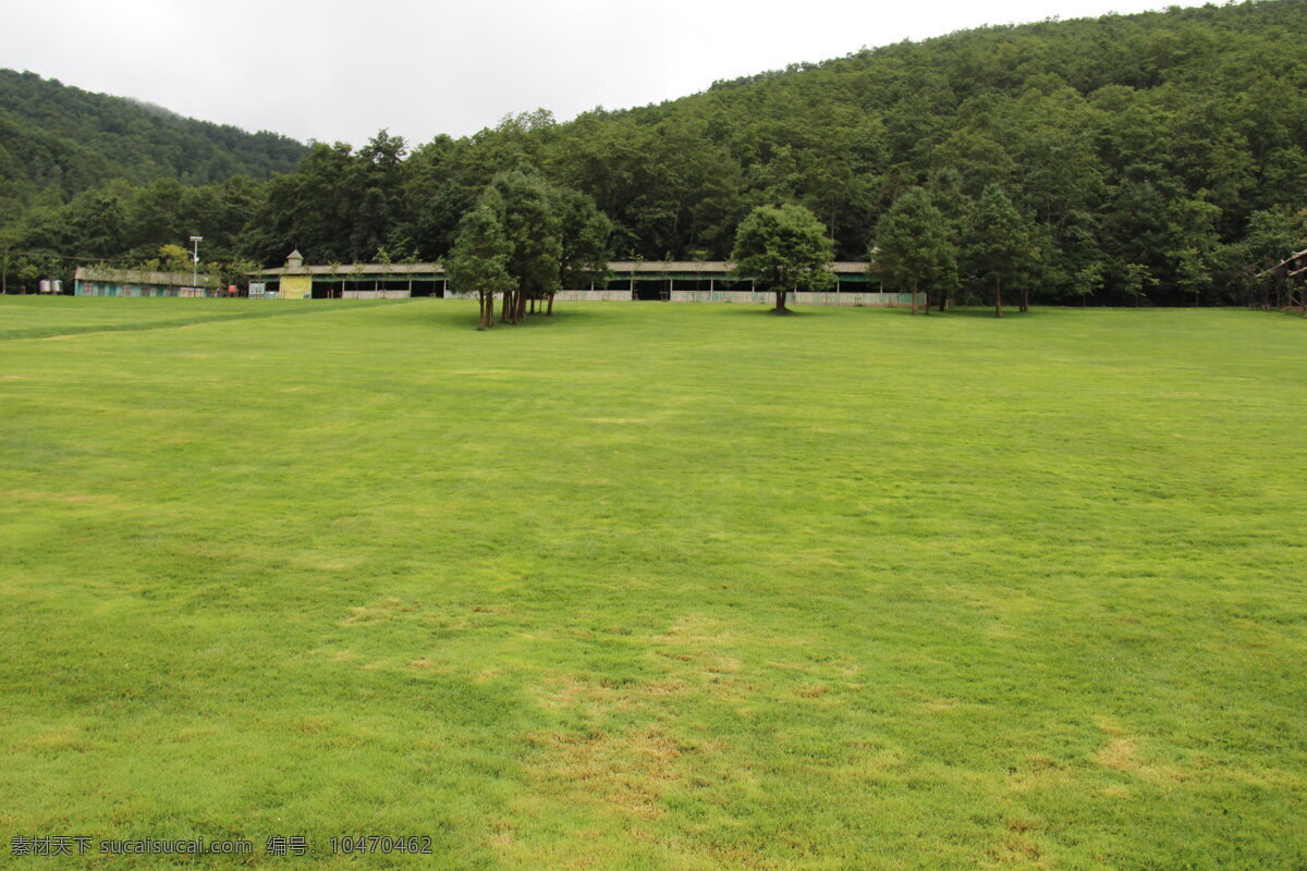 草坪 草坪素材下载 草坪模板下载 草地 绿地 绿草 自然风景 自然景观