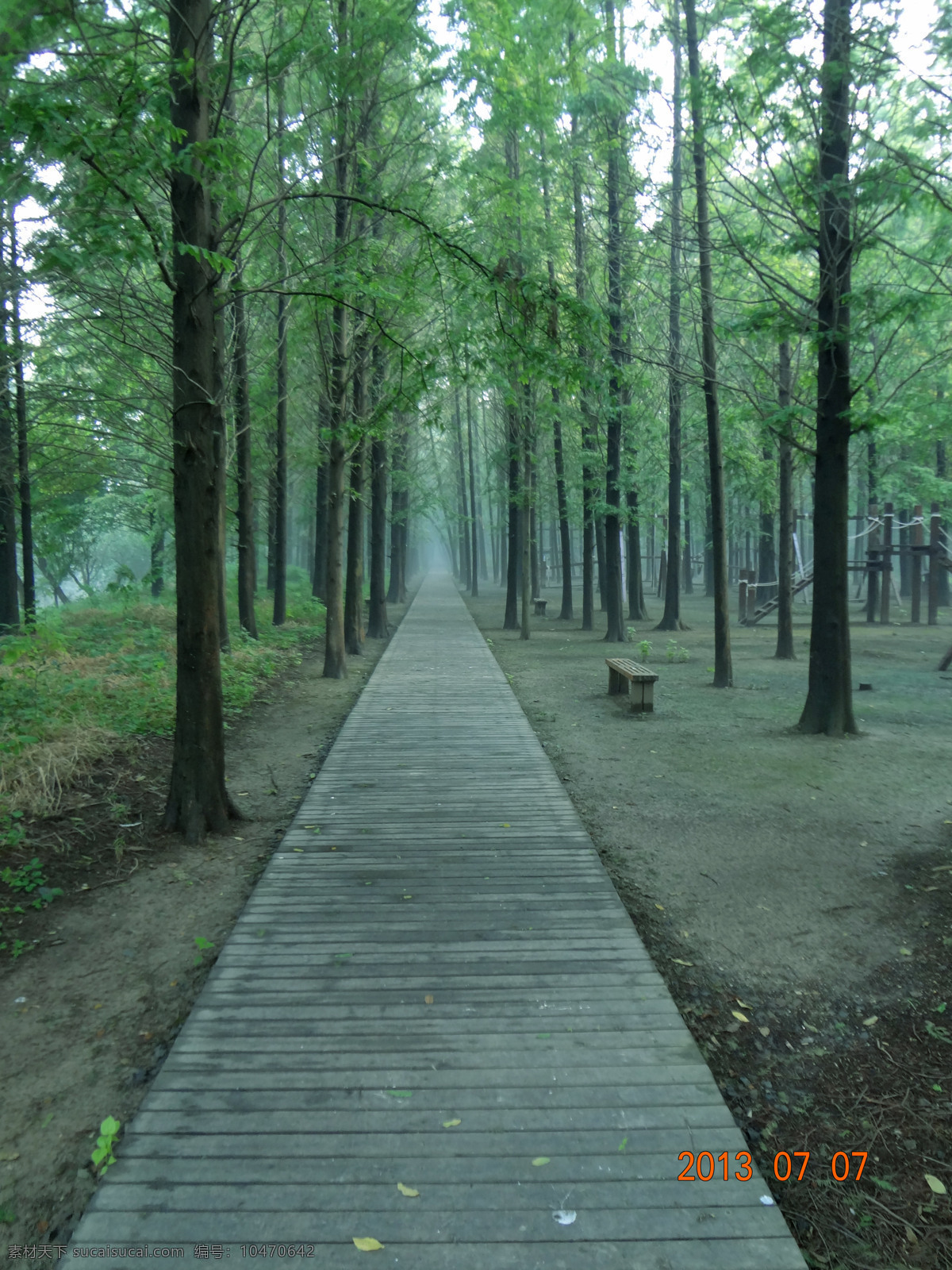 森林 树林 道路 唯美 风景 国内旅游 旅游摄影