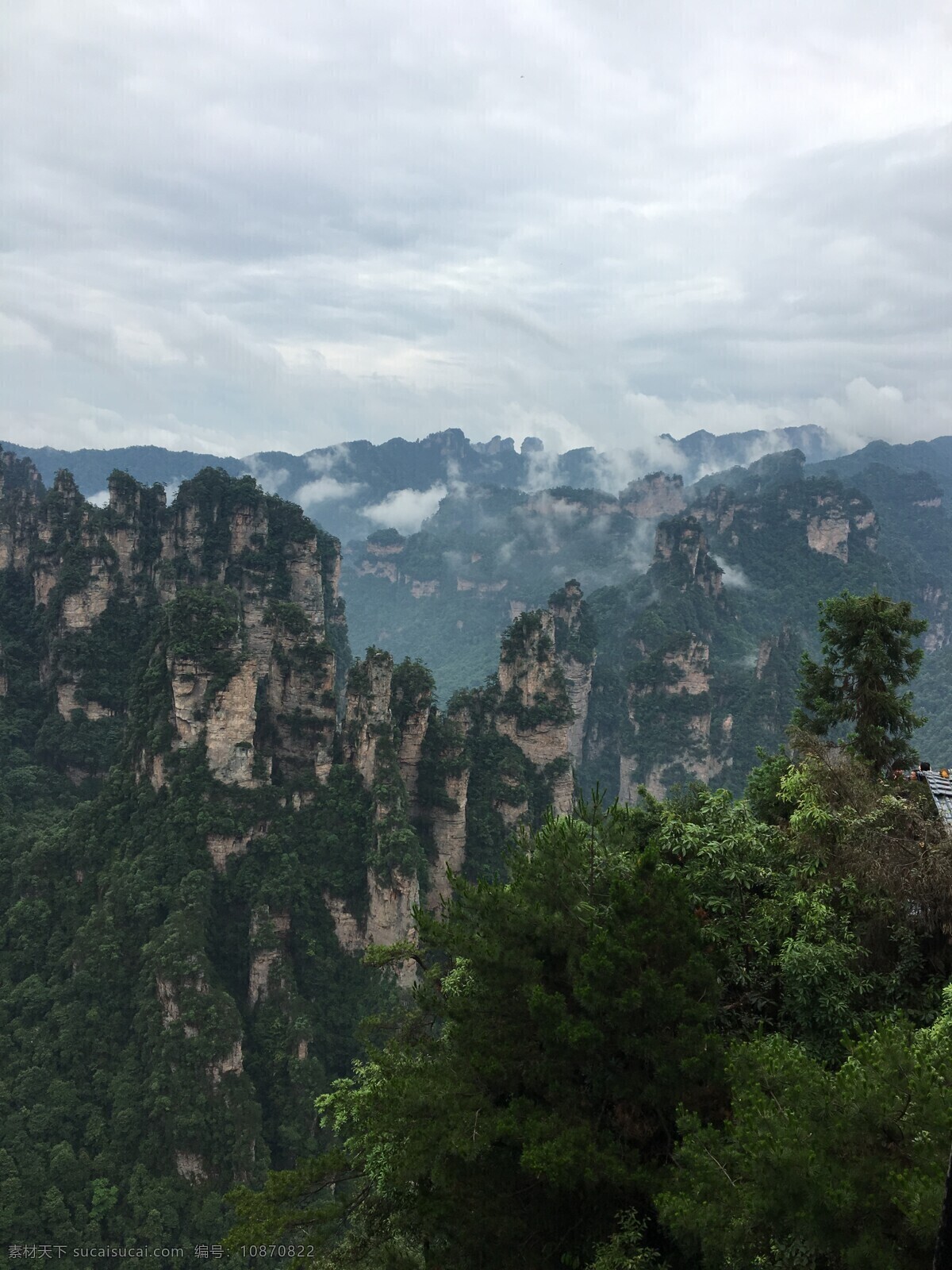 张家界 旅游 自然风景 大自然 悬崖峭壁 山峰 自然景观 旅游摄影 国内旅游