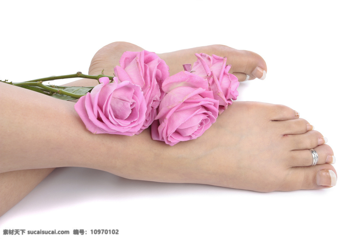 鲜花 性感 美 腿 脚 美脚 美足 美腿 玫瑰花 月季花 粉色 美体 美容 休闲 小腿 玉足 美趾 脚丫 白嫩 美女 白领 女性 人物图库 女性女人 摄影图库 感性美腿
