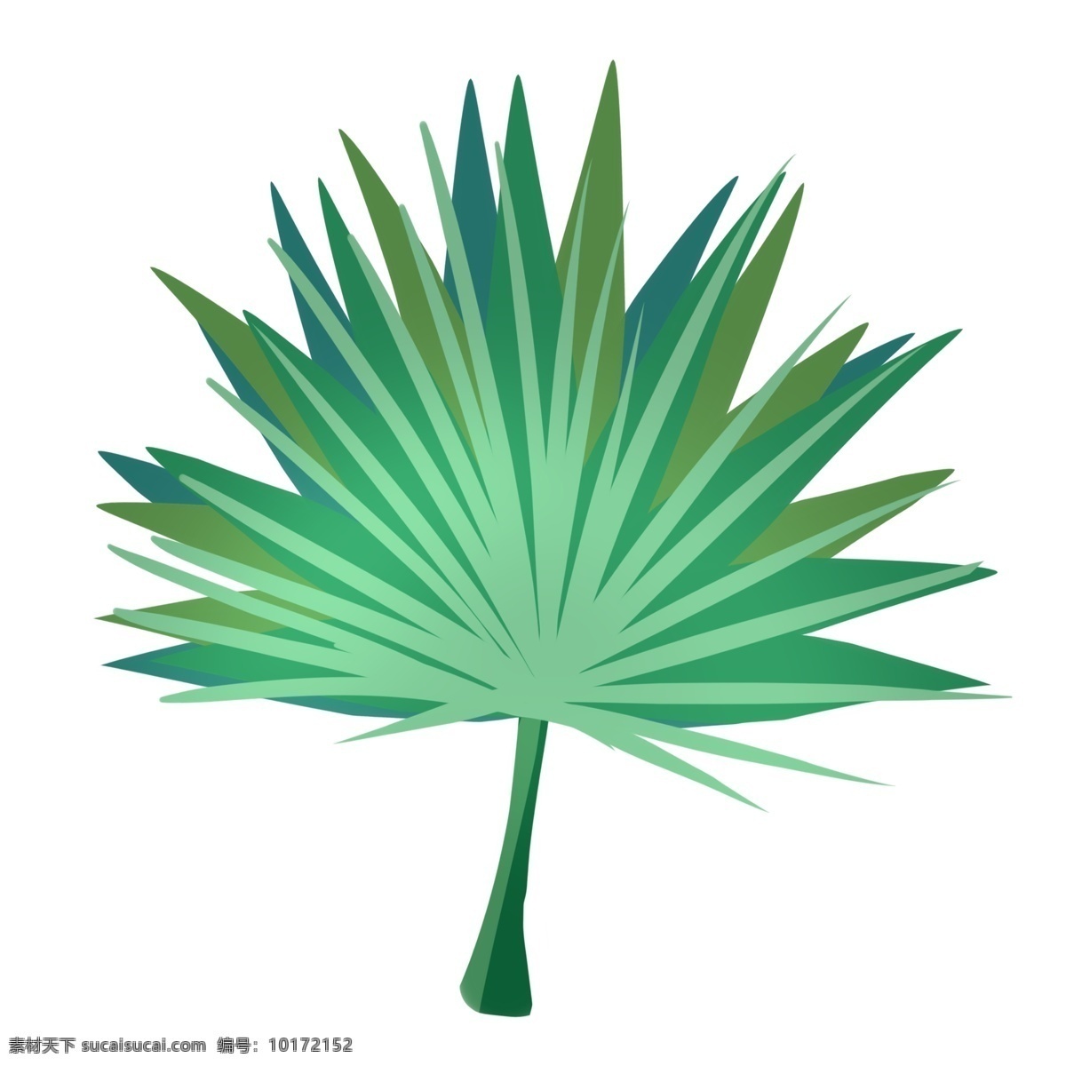 扇形叶子装饰 绿色 热带 植物