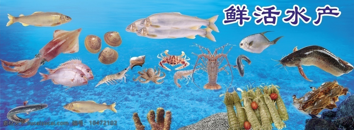 水产海报 模版下载 水产品 海产品 鱼类 鱼虾 龙虾 螃蟹 贝壳 海鲜