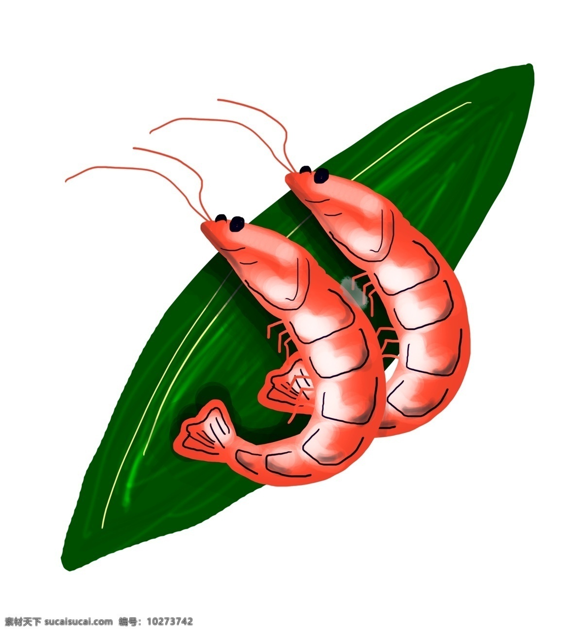 卡通 手绘 美味 蒸 虾 插画 节肢动物 水里 海里 营养价值 食物 美食 清蒸 红烧 味鲜美 营养丰富 卡通手绘