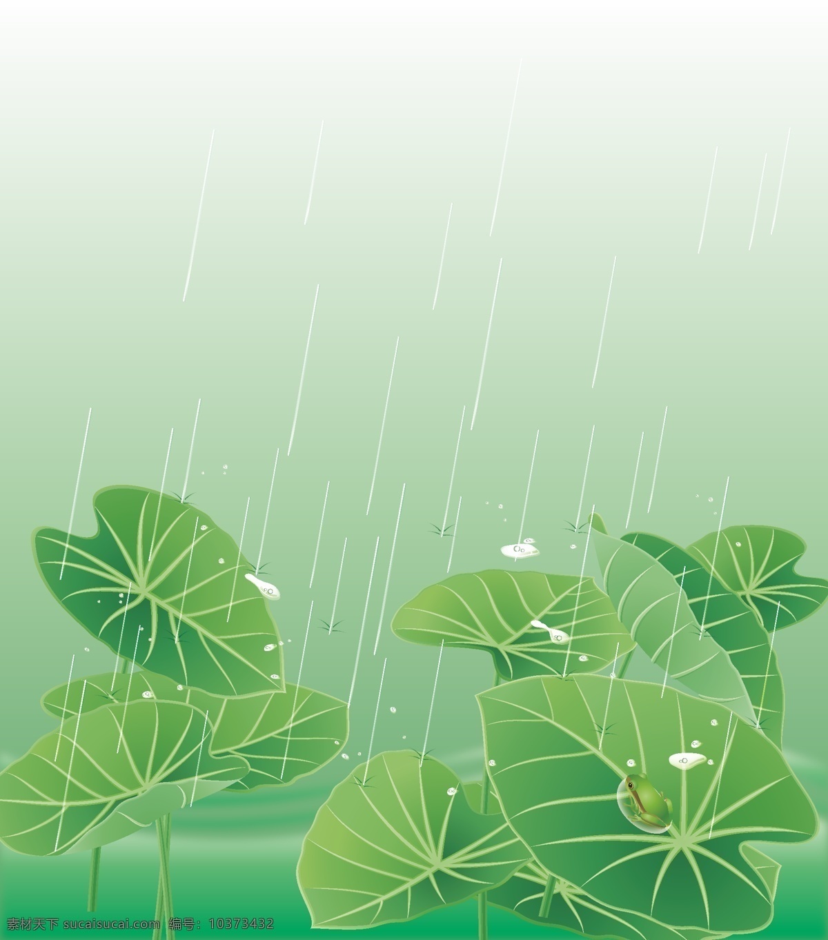 矢量 手绘 卡通 夏日 荷塘 背景 海报 荷叶 绿色 青蛙 清新 童趣 雨滴