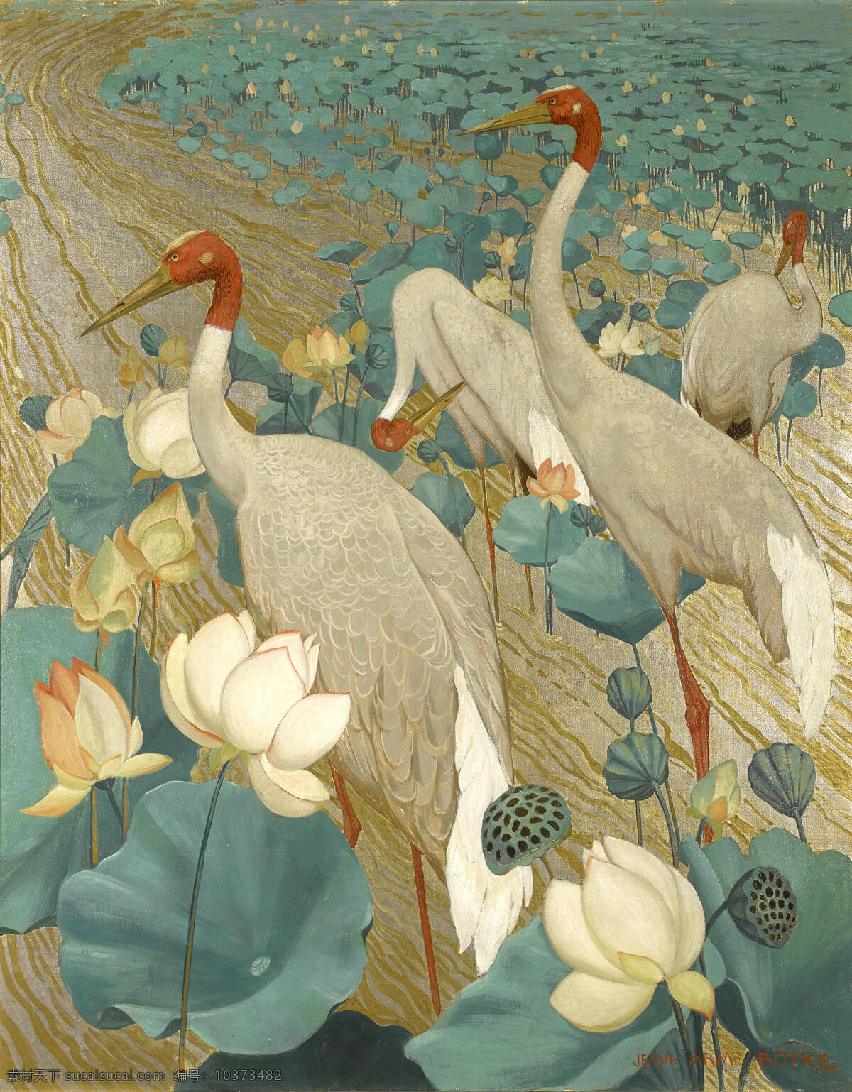 鹤 荷花池塘 栖息 悠闲 河滩 20世纪画 油画 文化艺术 绘画书法
