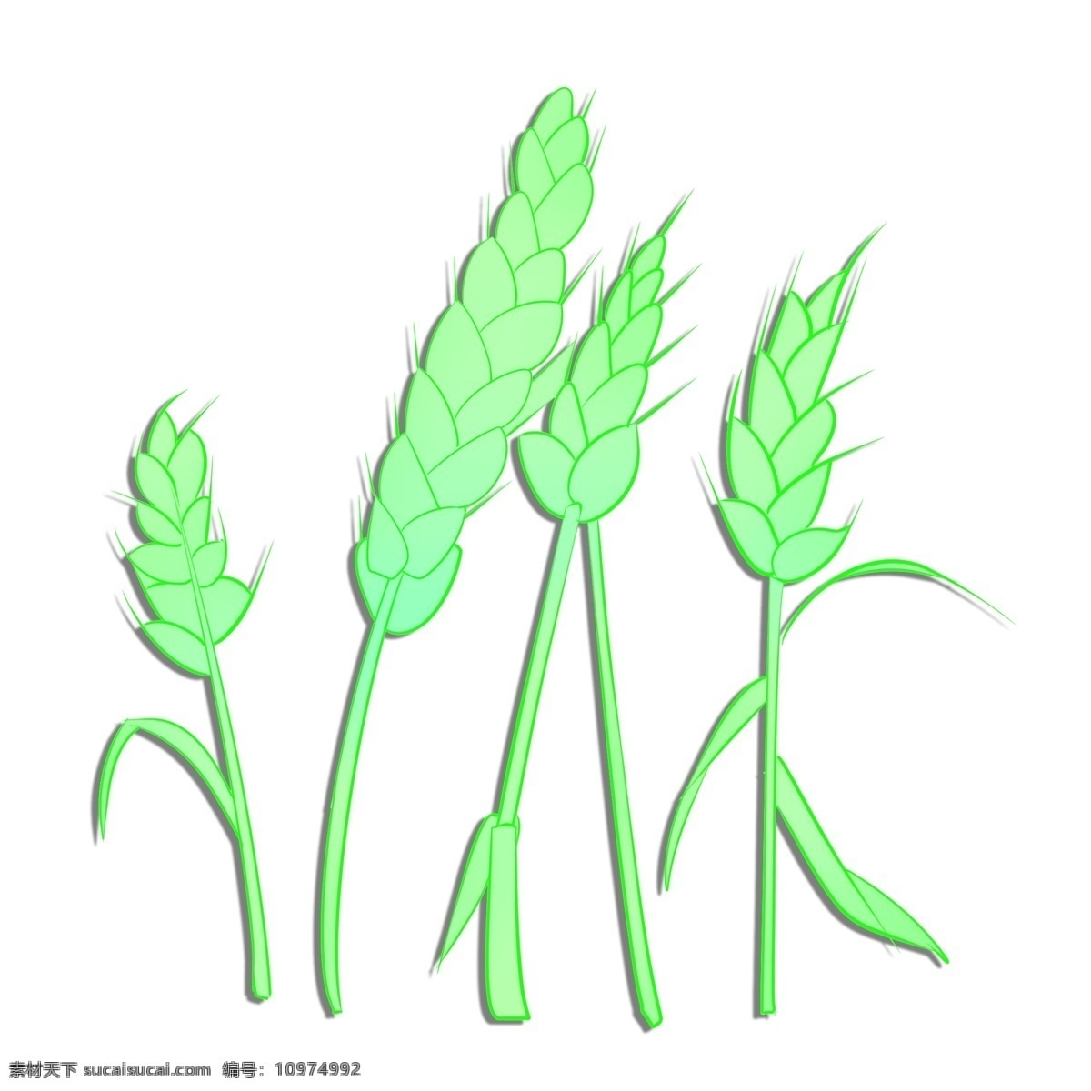 卡通绿色麦穗 粮食 植物 麦穗