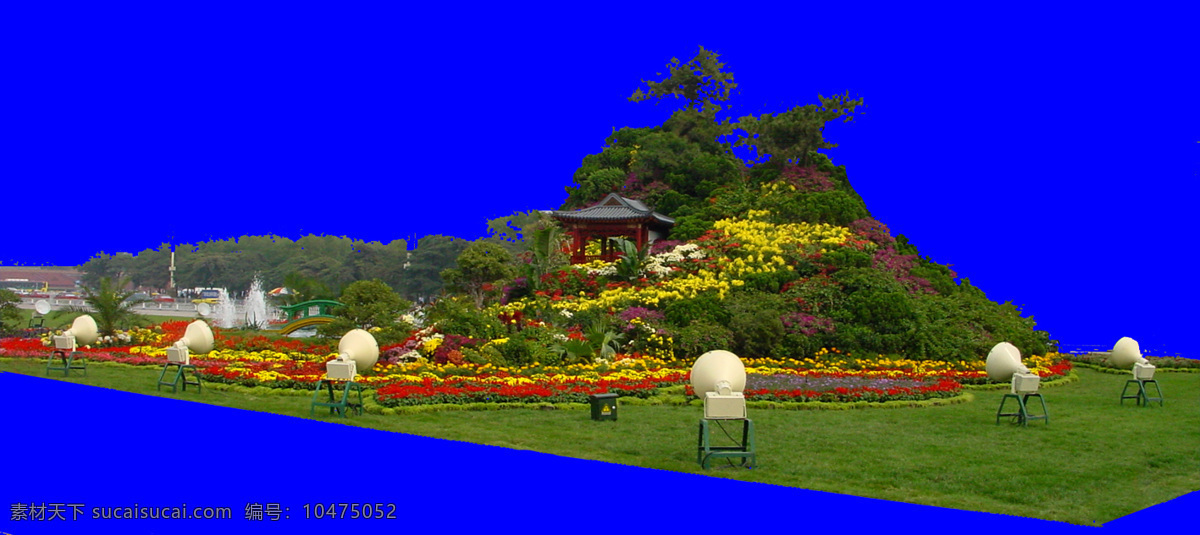花坛 植物 配景素材 园林植物 园林 建筑装饰 设计素材 蓝色