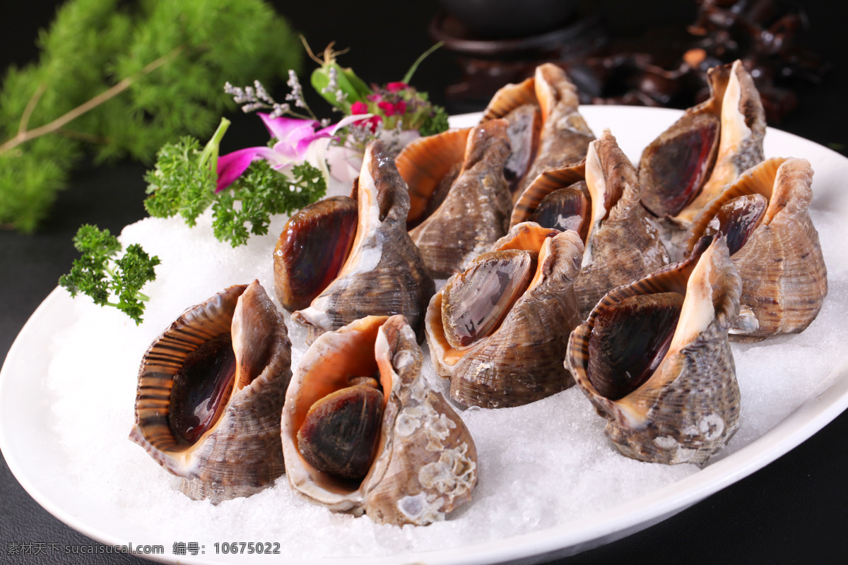 冰镇海角螺 冰镇海螺 海螺 深海海螺 刺身 日式料理 日料 粤菜 刺身房 精美 传统美食 海鲜 餐饮美食