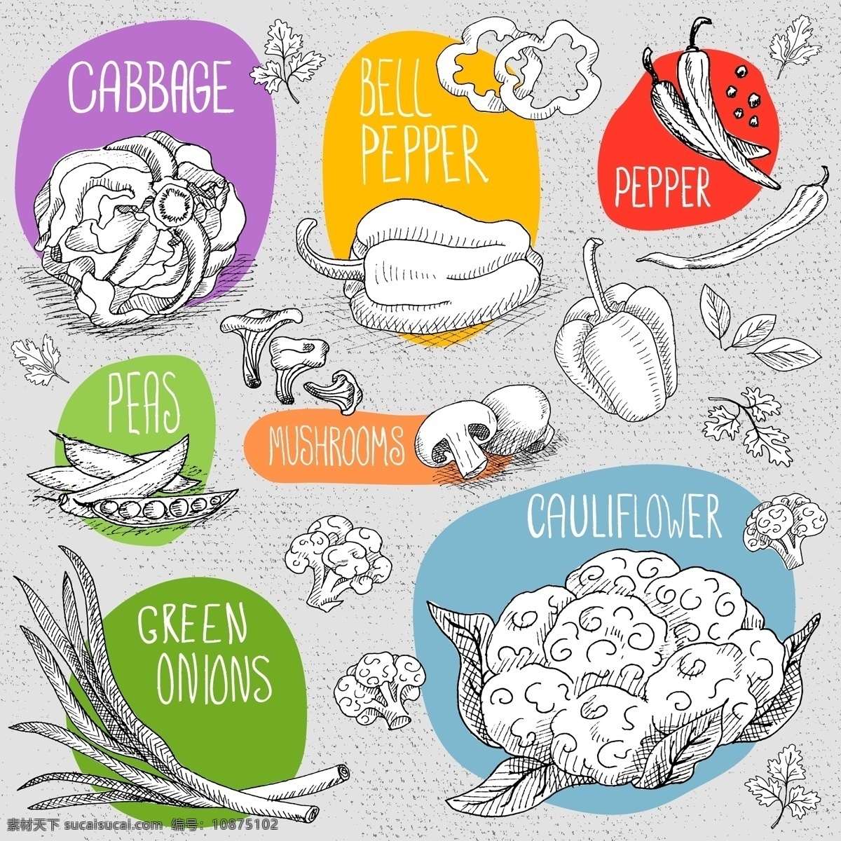黑白 线条 豆荚 矢量图 花菜 鸡腿菇 矢量素材 源文件