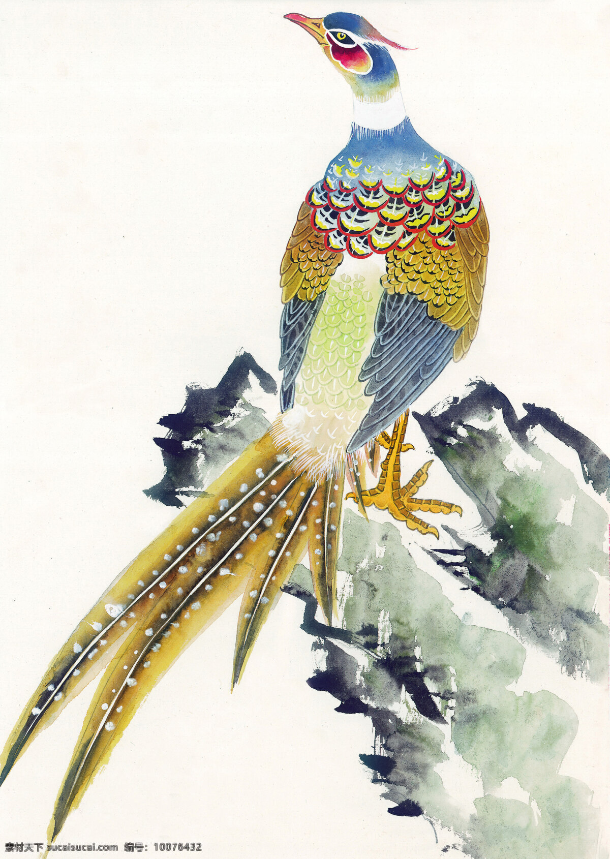 花鸟 孔雀 白描 工笔画 绘画 美术 泼墨 人物 水墨 文化艺术 花鸟艺术 写意 中国画 中国画艺术 家居装饰素材 室内装饰用图
