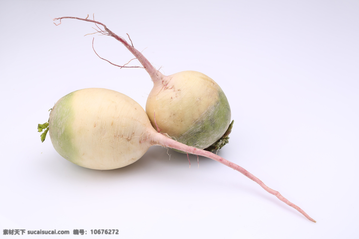 萝卜 红心萝卜 青萝卜 冰糖萝卜 心里美萝卜 蔬菜 传统美食 生物世界