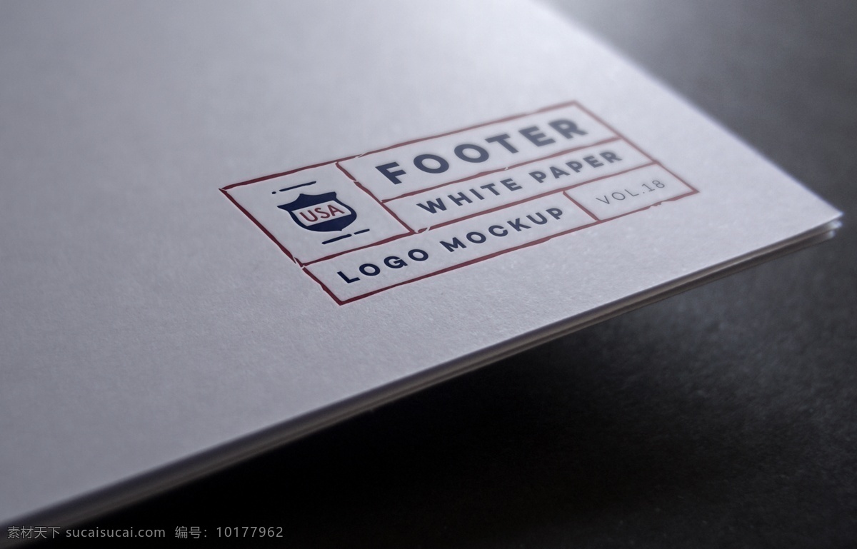 logo 样机 智能 贴图 模版 效果图 提案 logo样机 智能贴图 黑色