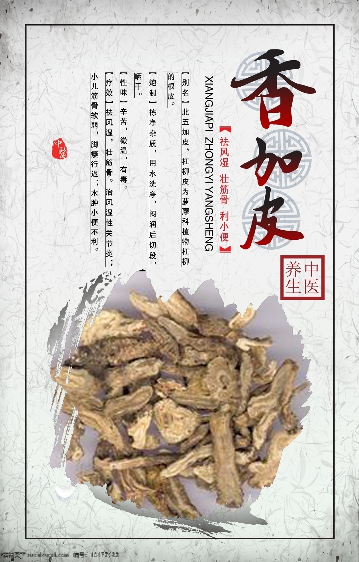 中医药香加皮 中药展板 草药 中医养生 中医院展板 中医文化 医药文化展板 香加皮