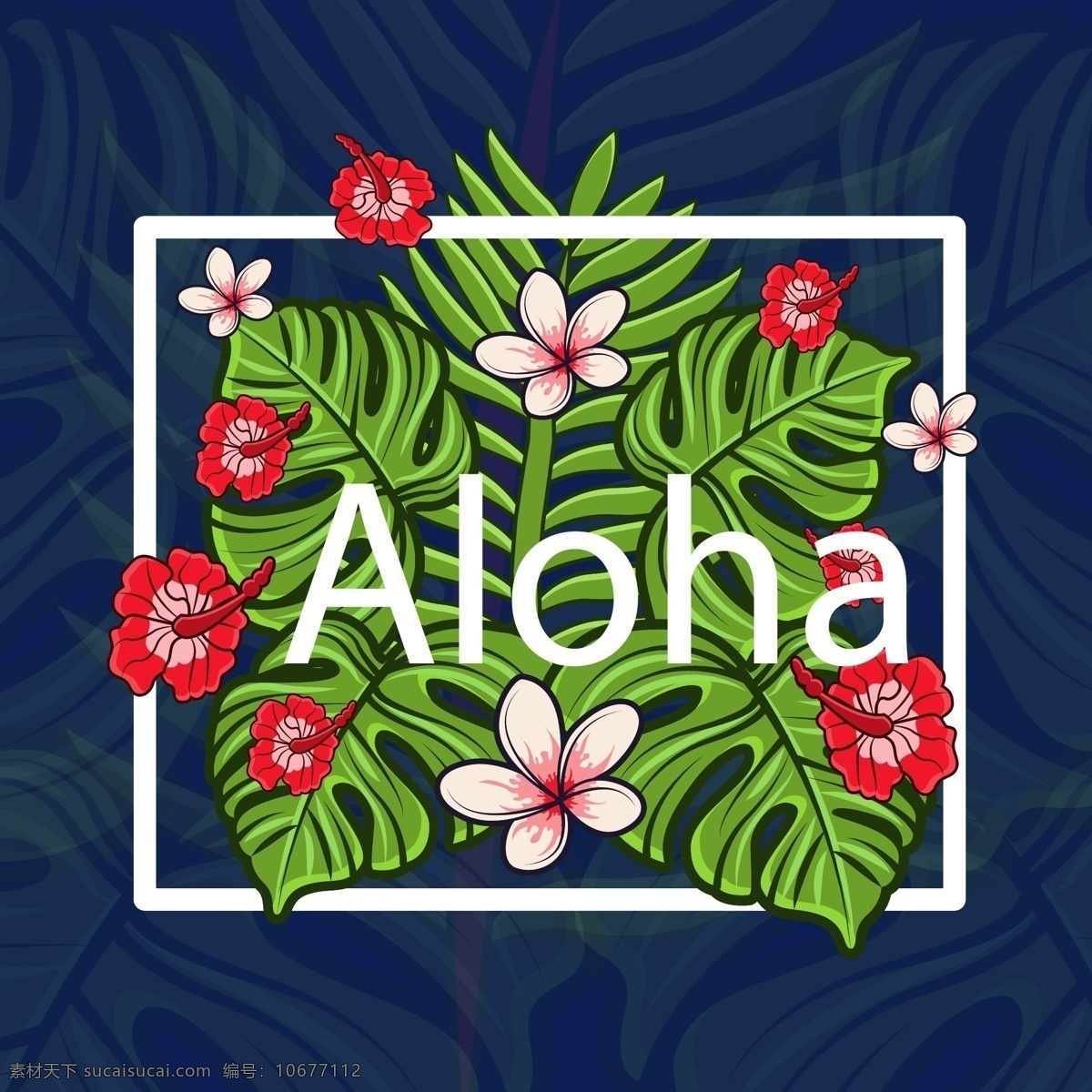 彩色 夏威夷 热带 花卉 树叶 矢量 唯美 插画 花朵 清新 植物