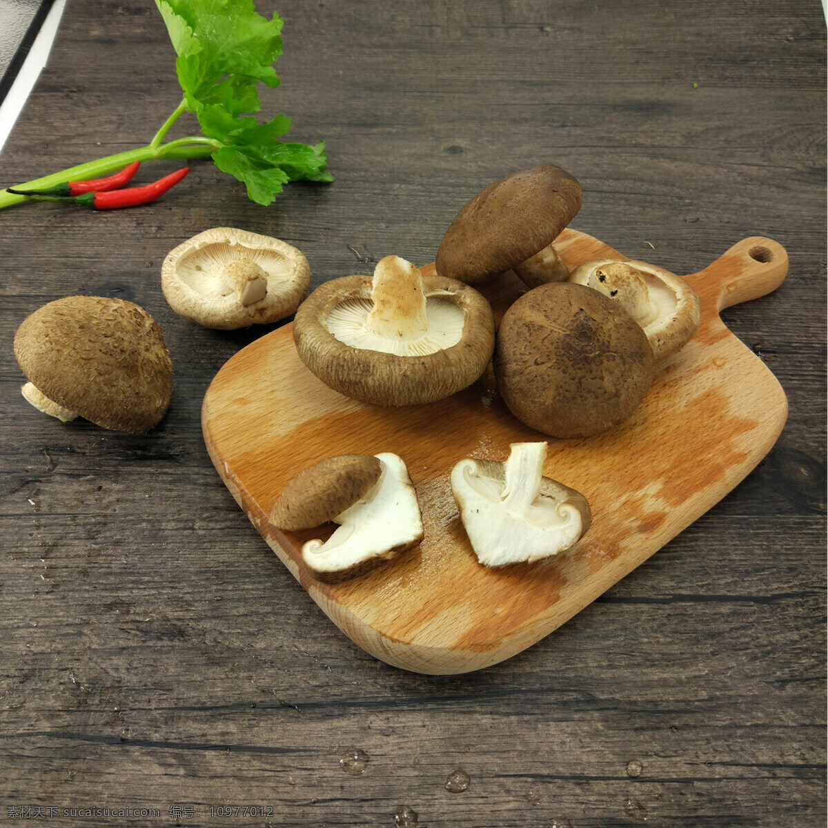 香菇 鲜香菇 小香菇 菇 蘑菇 生物世界 蔬菜