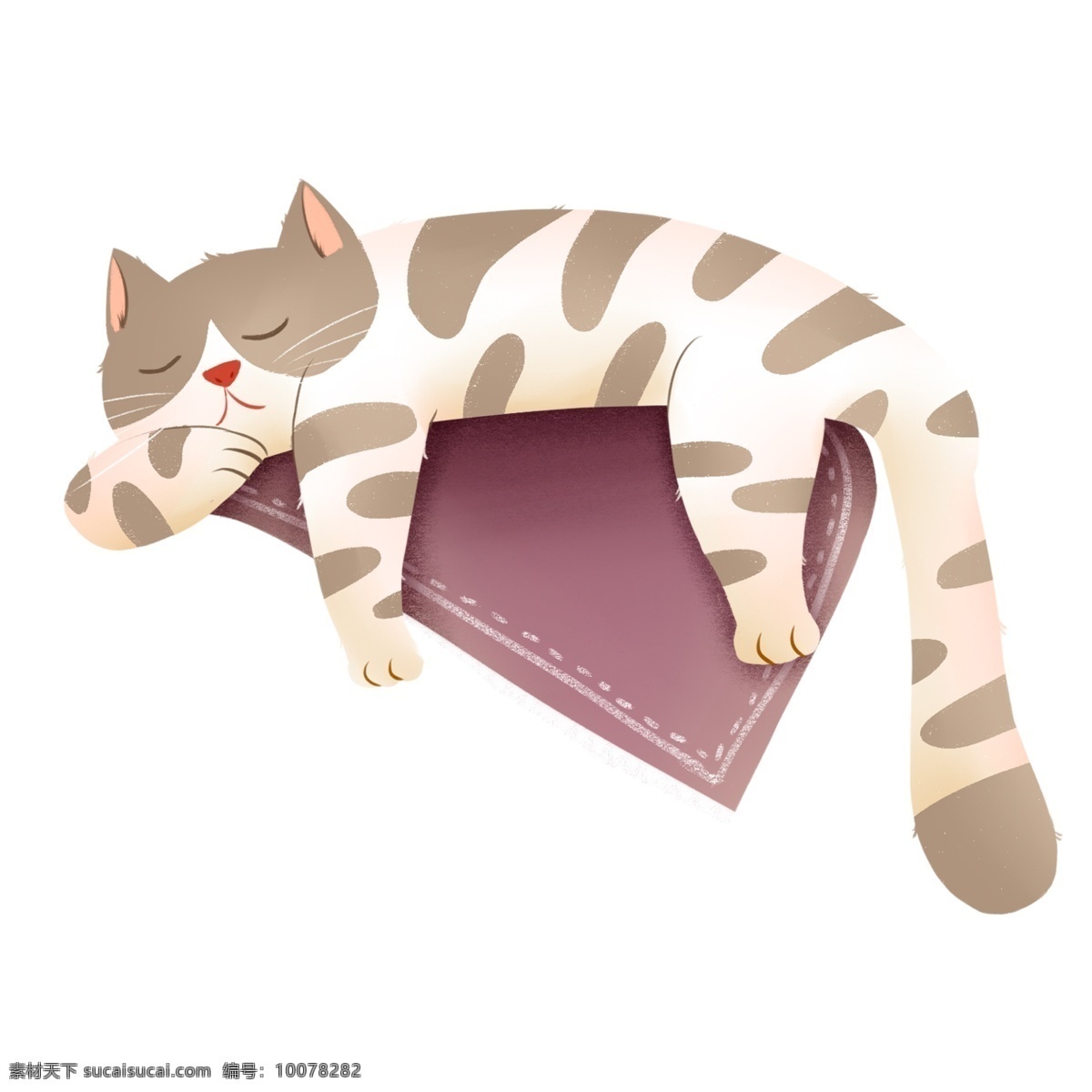 可爱 睡着 小 猫咪 免 抠 装饰图案 宠物 免抠素材 猫猫 小猫
