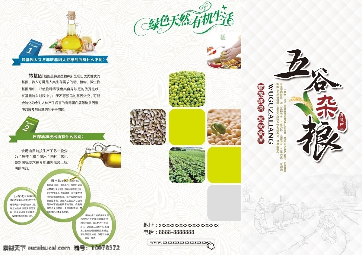 简约 风 农产品 宣传 折页 简约风 粮食 海报