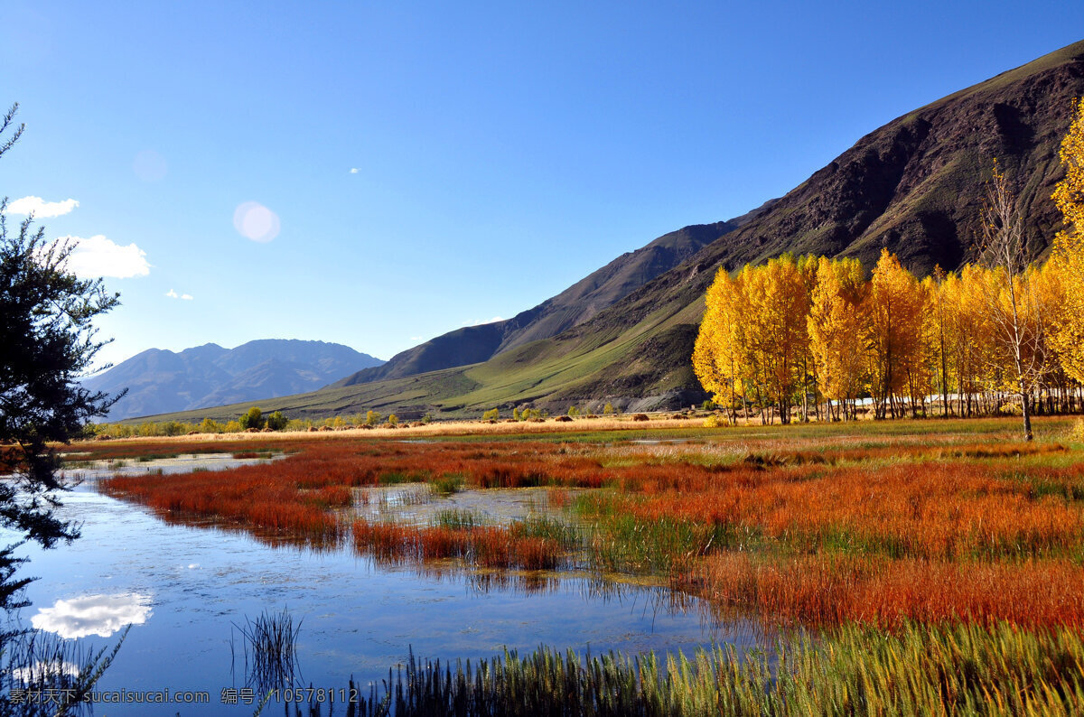 风景 西藏旅游 五彩湿地 秋天风景 日喀则风景 西藏秋天 蓝天白云 秋季景色 西藏风光 自然景观 山水风景