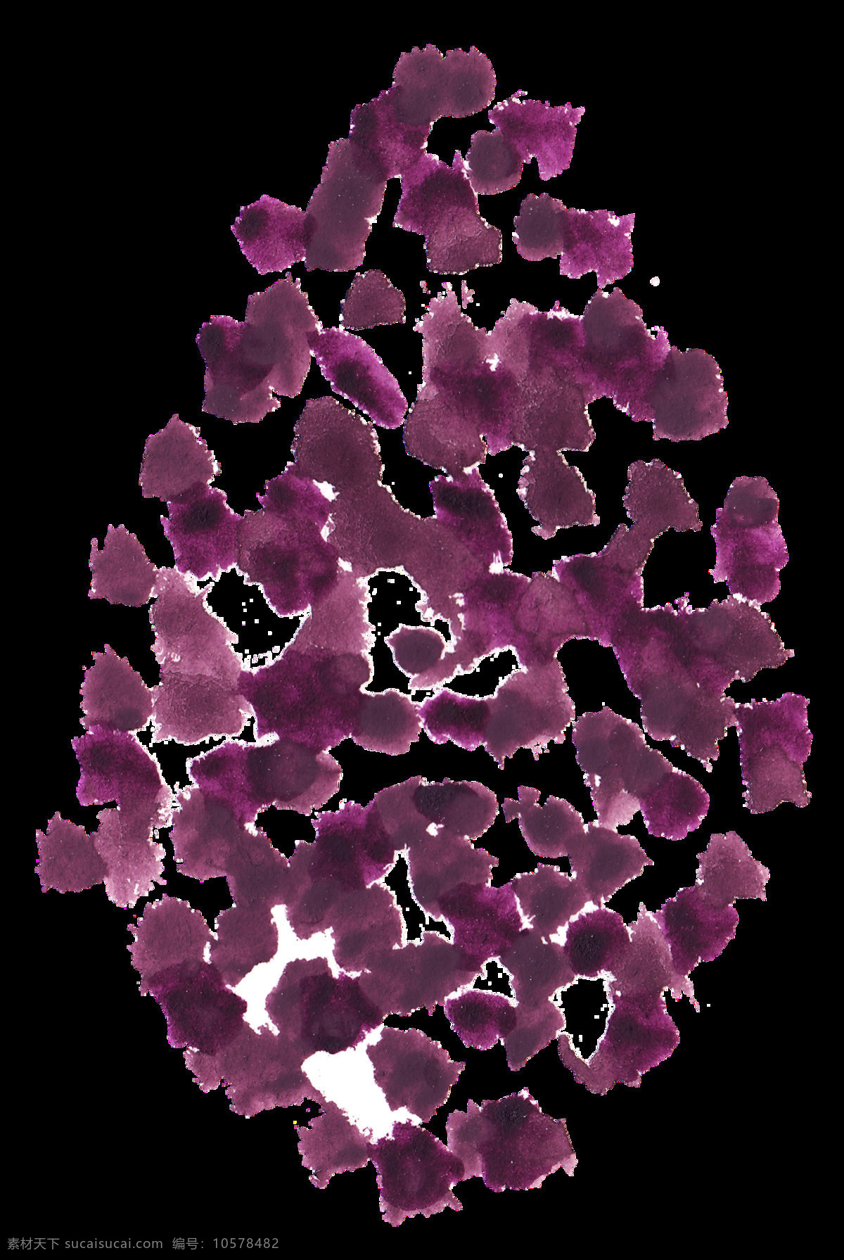 斑点 紫花 卡通 透明 花蕊 花叶 透明素材 免扣素材 装饰图案
