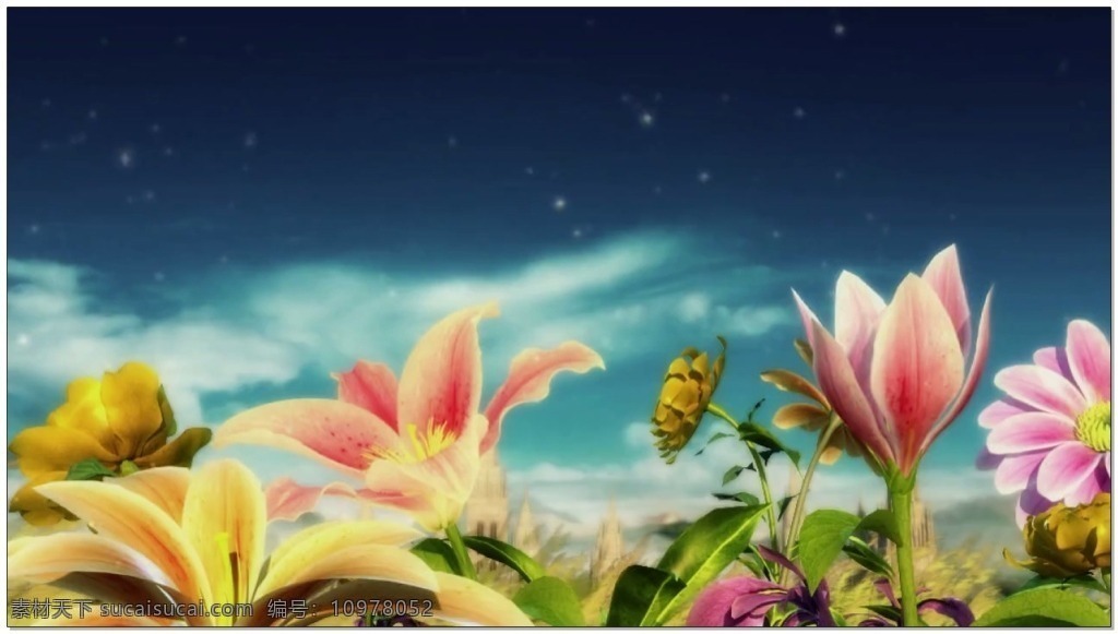 百合花 视频 高清视频素材 视频素材 动态视频素材 花朵 百合 鲜花