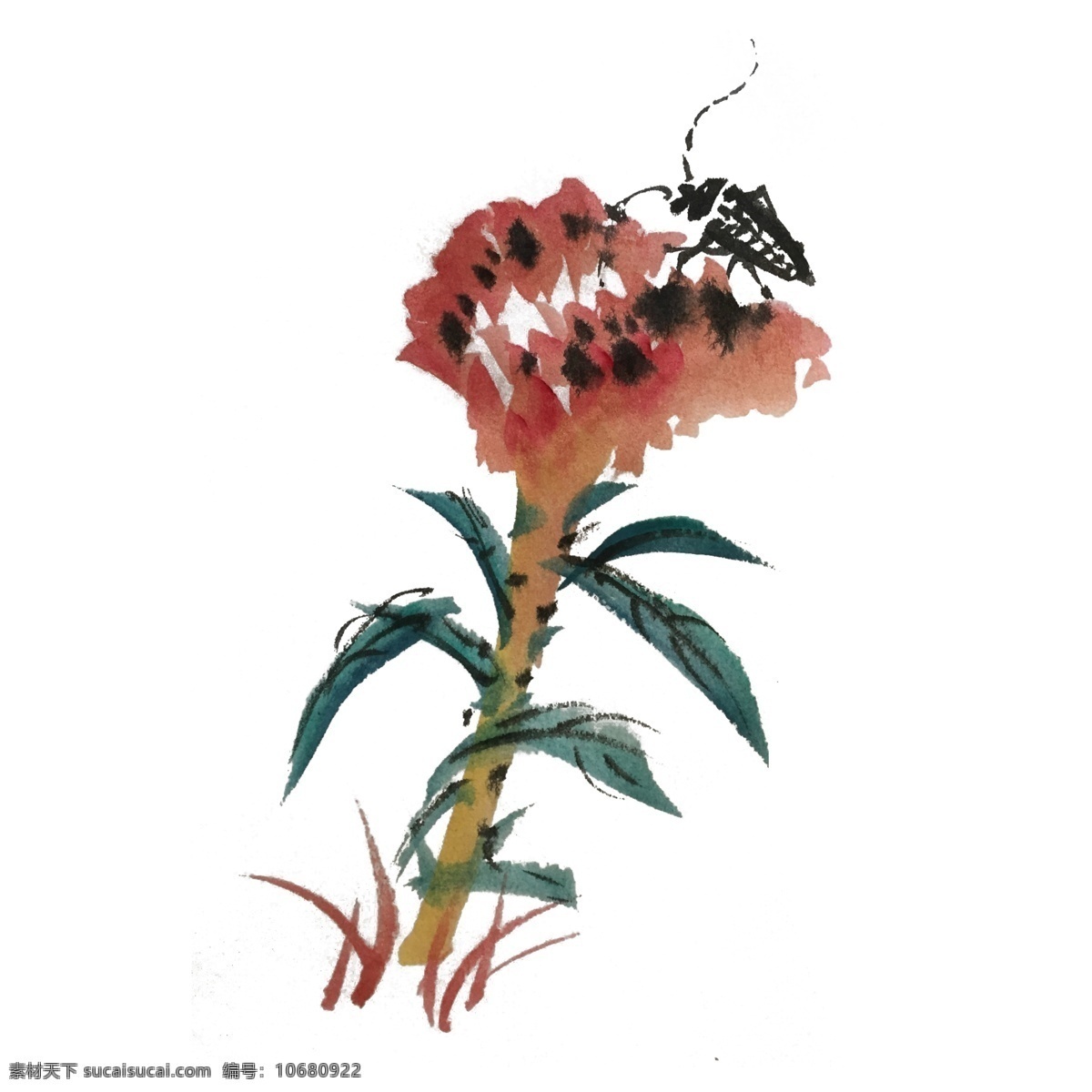 中国 风 花草 昆虫 手绘 插画 中国风 动物 古风 水墨风 墨迹 夏季 彩色 春天 生动 国风 水墨