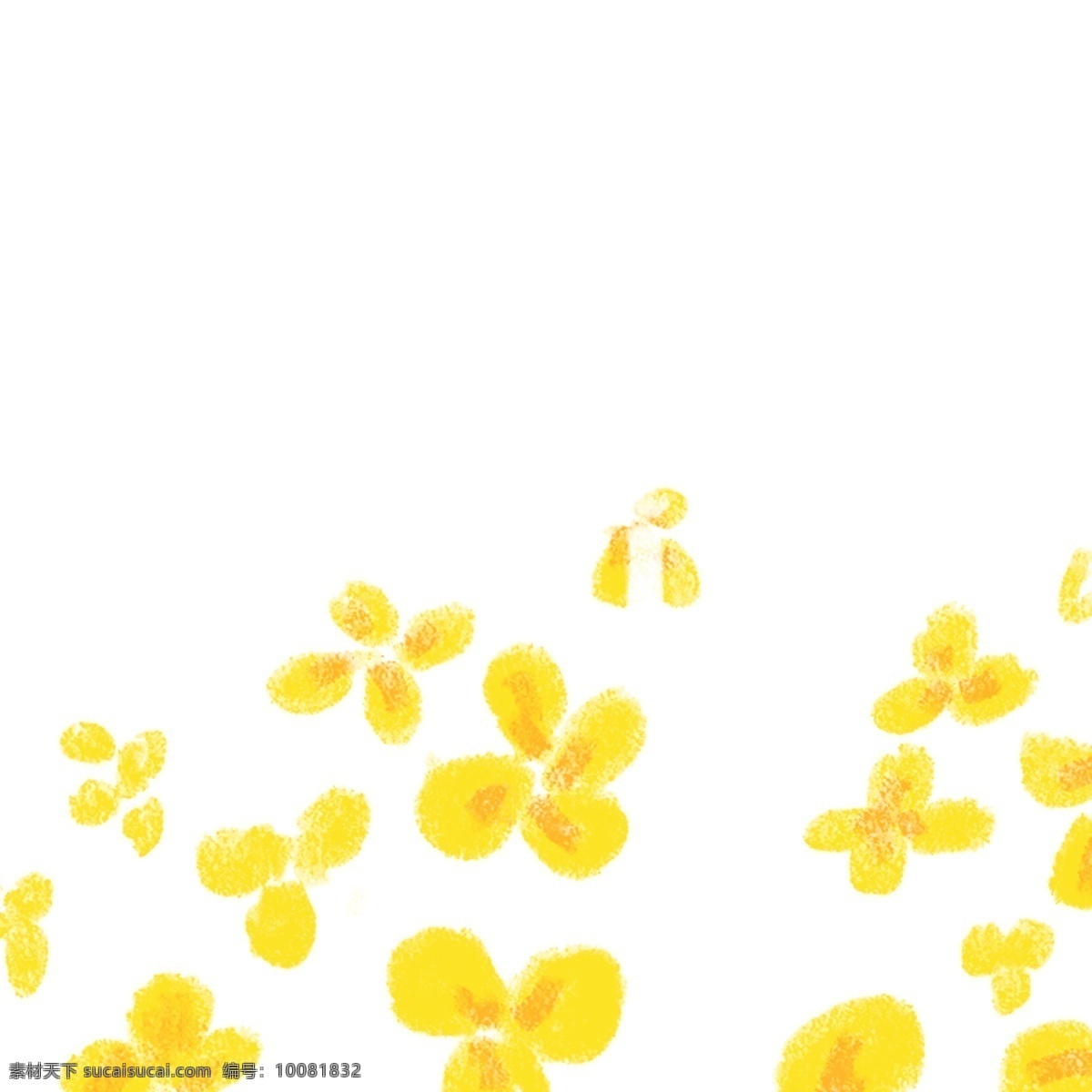 黄色 油菜花 花朵 免 抠 图 免抠图 植物 黄花 装饰物