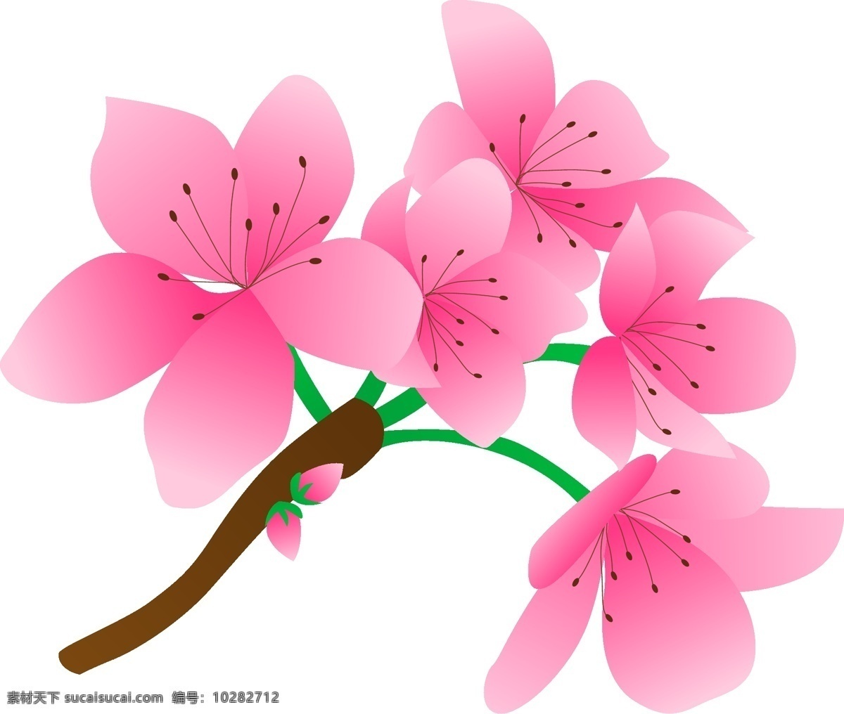 矢量 免 扣 粉色 桃花 免抠透明设计 粉色桃花 桃花树枝 花芯花蕊 花瓣 花卉花朵 玫瑰 桃花盛开 梅花 腊梅
