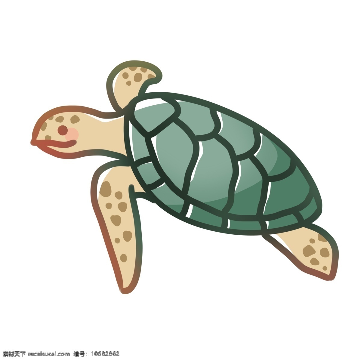 海洋生物海龟 绿色 海龟 动物
