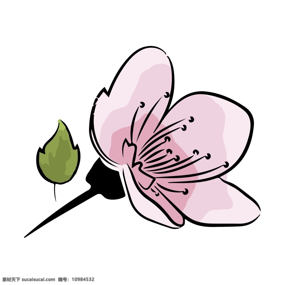 盛开 粉色 樱花 花朵矢量 绿叶 花朵 手绘 小清新 可爱 绽放