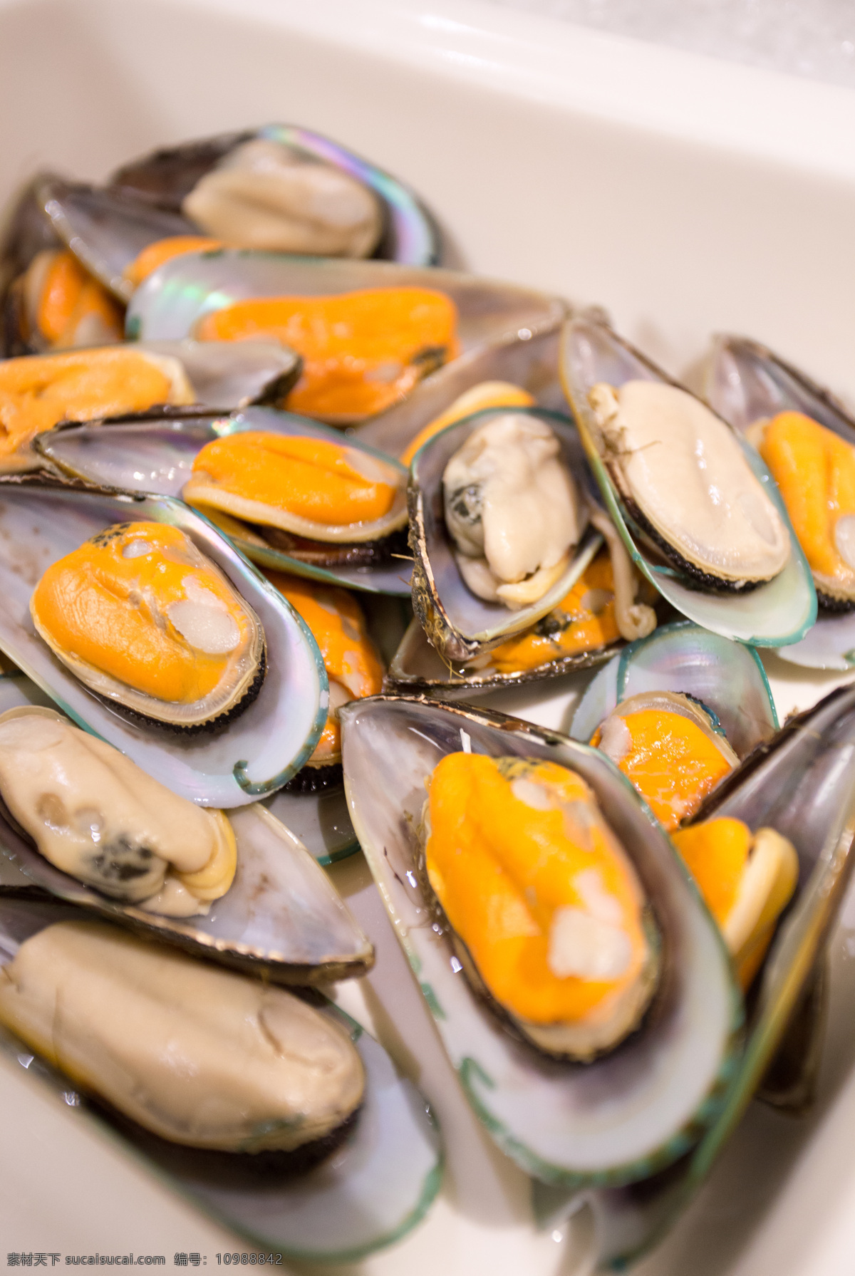蛤蜊 海鲜 牡蛎 花蛤 海虹 菜品 餐饮美食 传统美食