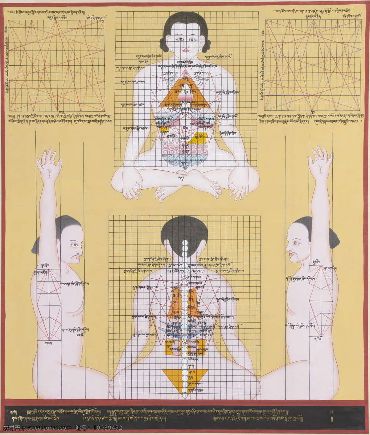 藏医 唐卡 佛教 文化 西藏 医学 宗教 文化艺术