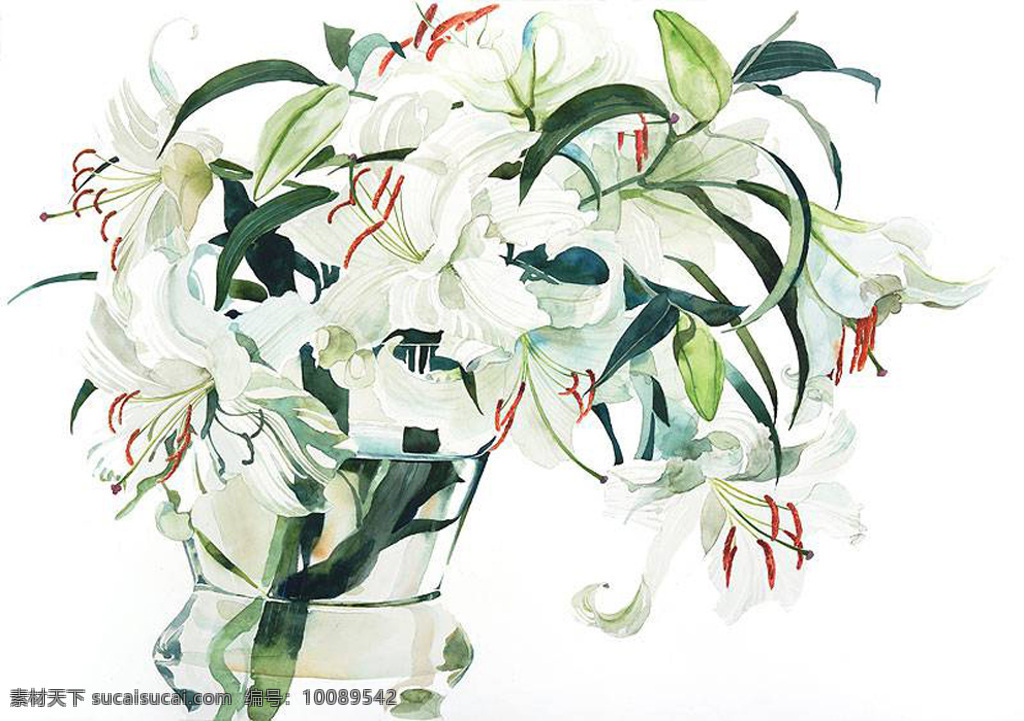 位图免费下载 服装图案 水彩 位图 植物插画 柘植彩子 艺术效果 面料图库 服装设计 图案花型