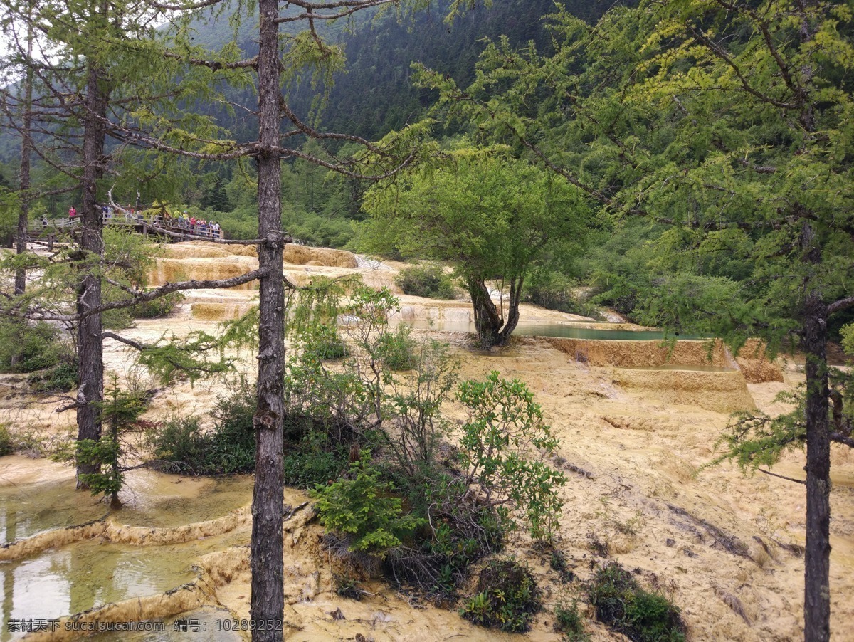 黄龙景观 黄龙 黄龙美景 自然风光 自然风景 自然景观 黄龙风光摄影 黄龙彩池景观 黄龙五彩池 彩色河流风景 彩色湖泊景观 黄龙瀑布景观 黄色瀑布景观 蓝天白云 阳光 密林 树木 游客