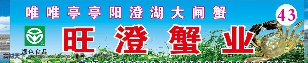 阳澄湖 大闸蟹 门 头 阳澄湖大闸蟹 大闸蟹门头 大闸蟹海报 蟹 水草 名片卡片