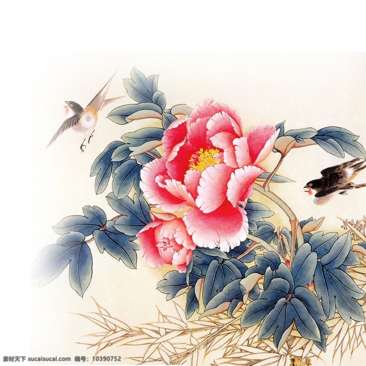 牡丹花 树叶 鸟儿 鸟儿素材
