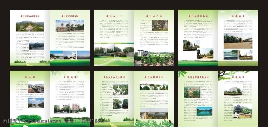 创建 森林 城市 画册 森林城市 创森 林业 单位 绿色 环保 手册 宣传册