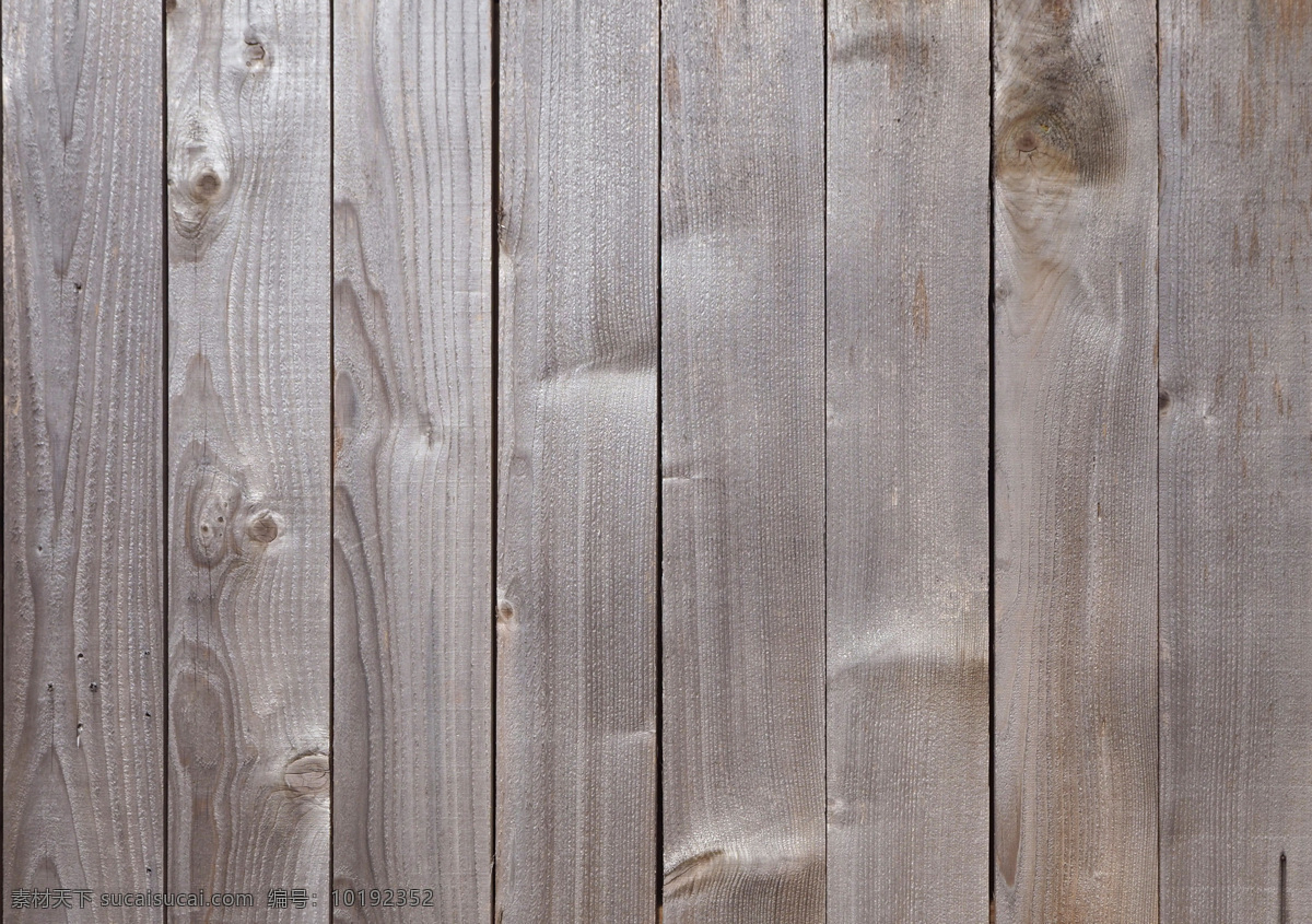 木板背景 白色木板 枫木板 木纹地板 木纹 木质 木板 纹理 纹路 效果 木地板 木质地板 木板图片 生活百科 生活素材