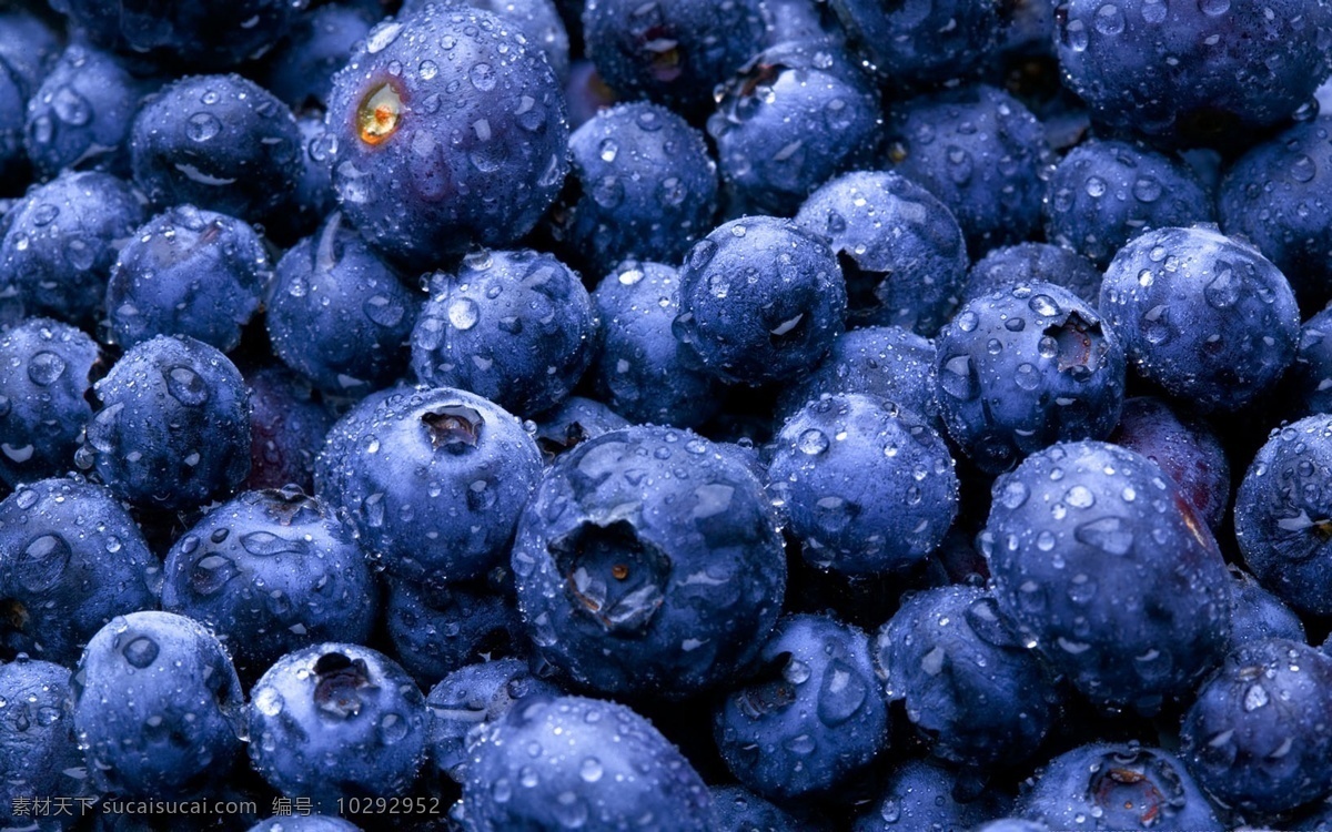 蓝莓 水果 食品 有机水果 新鲜水果 水果海报 水果展架 水果素材 水果创意 水果摄影图 水果广告 水果蔬菜 夏天 清凉 餐饮美食 食物原料