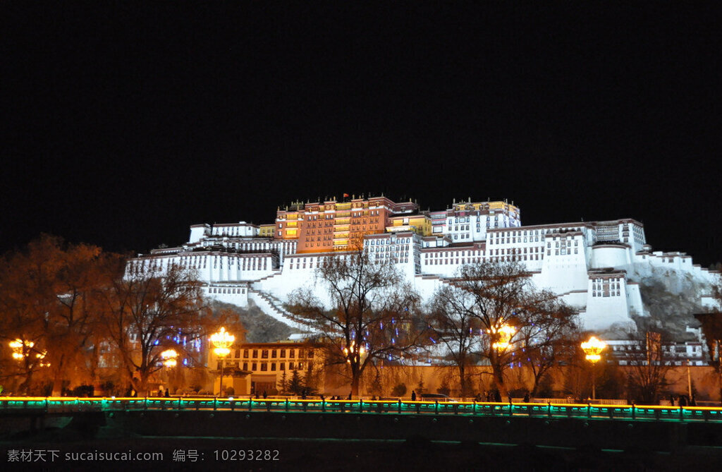 拉萨布达拉宫 西藏 拉萨 布达拉宫 美景 夜景 国内旅游 旅游摄影 黑色