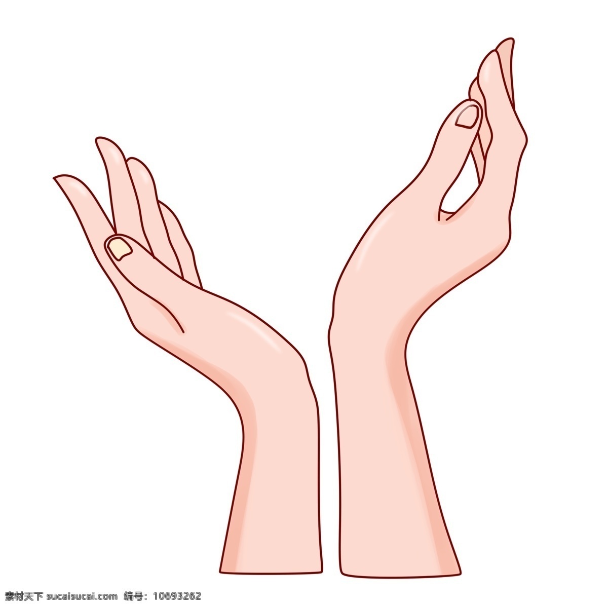 双 纤纤 玉手 插画 一双纤纤玉手 女性的双手 立体逼真的手 两只左右手 拥抱的双手 创意手势插画