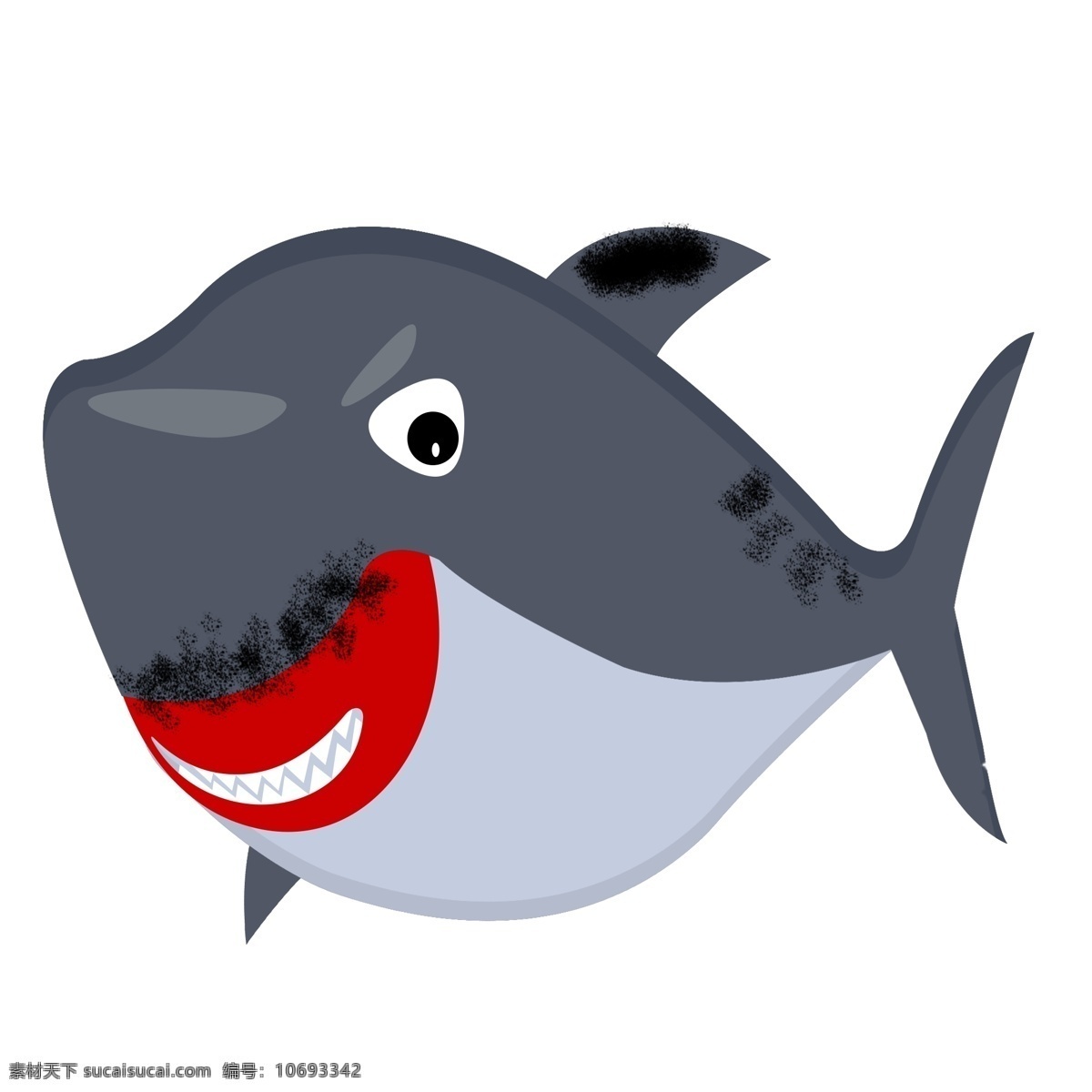 黑色海洋鲨鱼 鲨鱼 动物 海洋生物