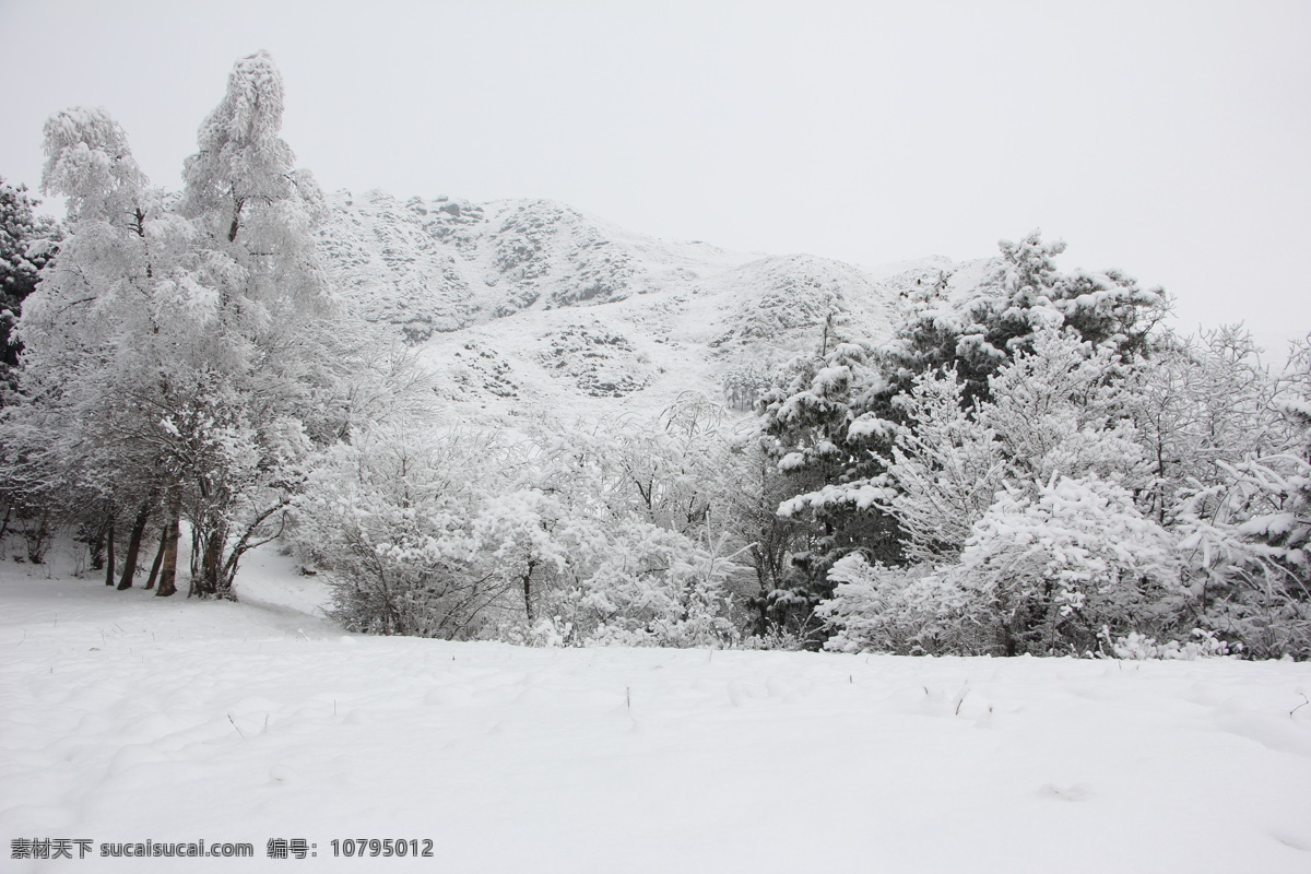 雪景 白雪 冬天 冬景 美景 雪山 雪树 自然风景 自然景观