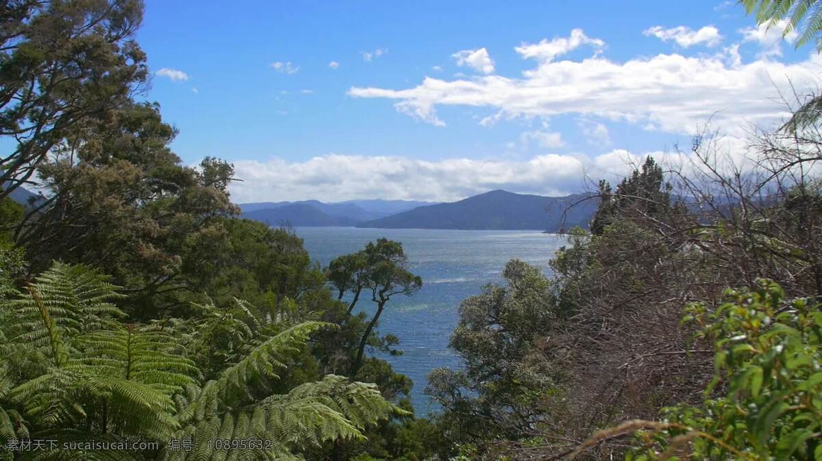 怀 卡里莫 阿纳 湖 新西兰 景观 新的 怀卡里莫阿纳 步行 森林 公园 自然 鲁拉 旅游 假期 热带的 风景 尤瑞瓦拉 山