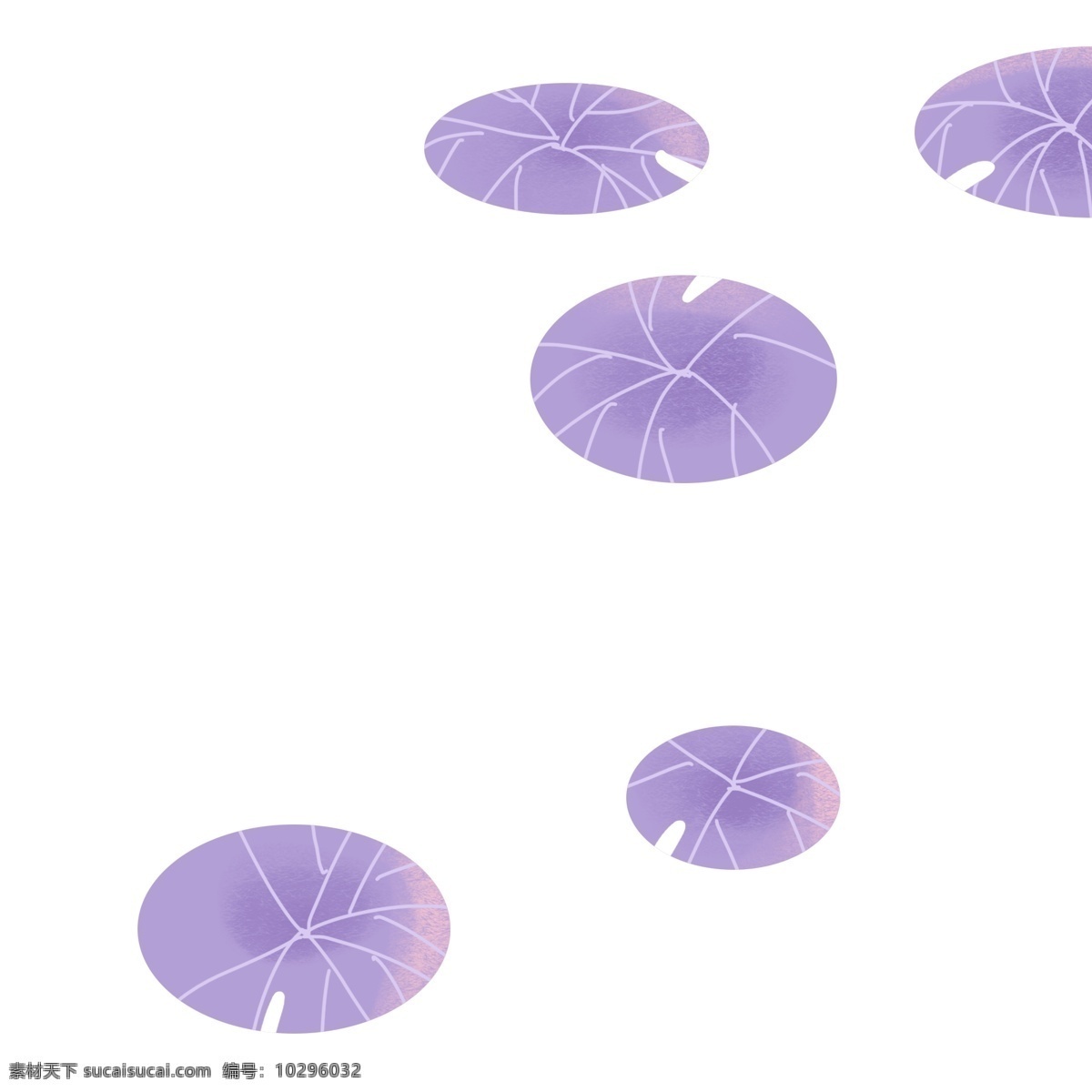 紫色 圆弧 创意 荷叶 元素 夏季 季节 变化 大自然 风景 装饰