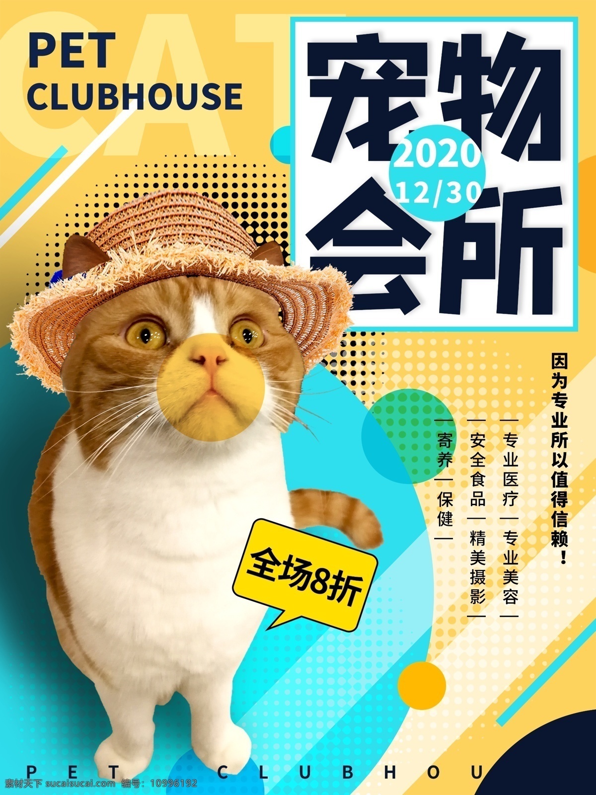 宠物海报 猫咪海报 宠物 宠物宣传 海报 猫咪 招贴设计
