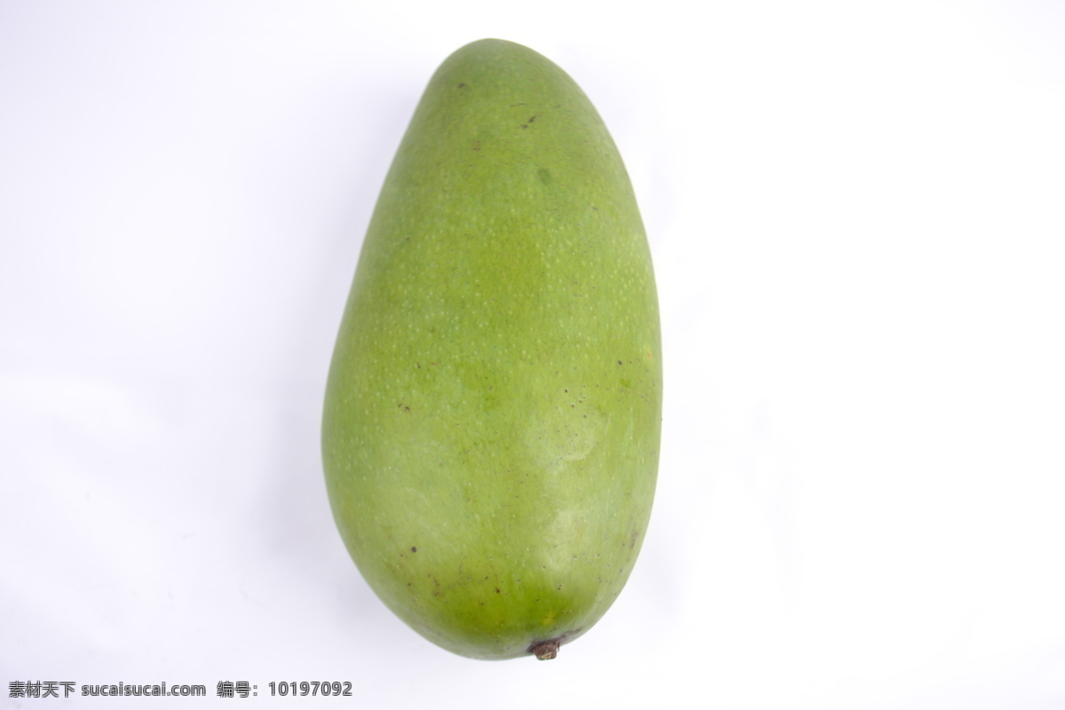 海南水果 金煌芒果 海南新鲜水果 芒果 澳芒 金煌芒 台农芒 贵妃芒 热带水果 树上熟 绿色 餐饮美食