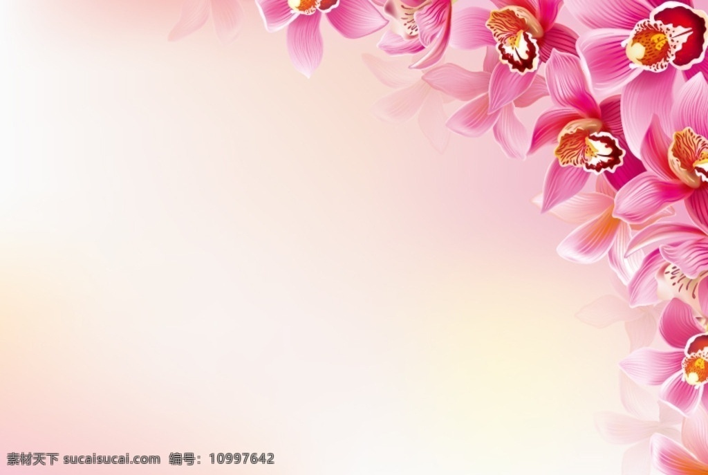 美丽 兰花 装饰 背景 美丽兰花 装饰背景 矢量 植物 粉色 花卉 矢量图 eps格式