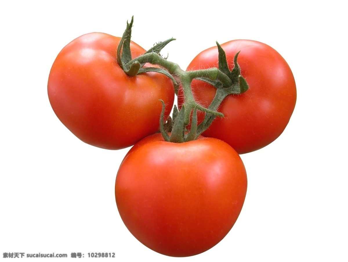西红柿 番茄 免 抠 图 免抠 蔬菜 分层素材