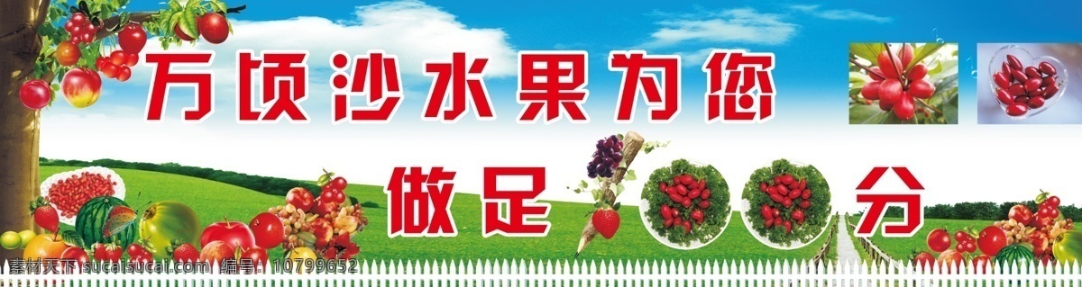 水果标语 水果店广告 水果店宣传 水果 绿色背景图 蓝天白云 草地 果树 神秘果果盘 分层 源文件